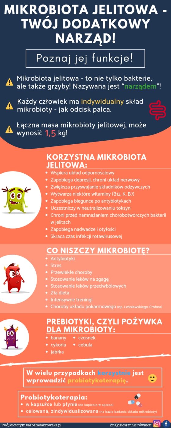 Mikrobiota jelitowa - mikroflora jelitowa - funkcje w organizmie - infografika